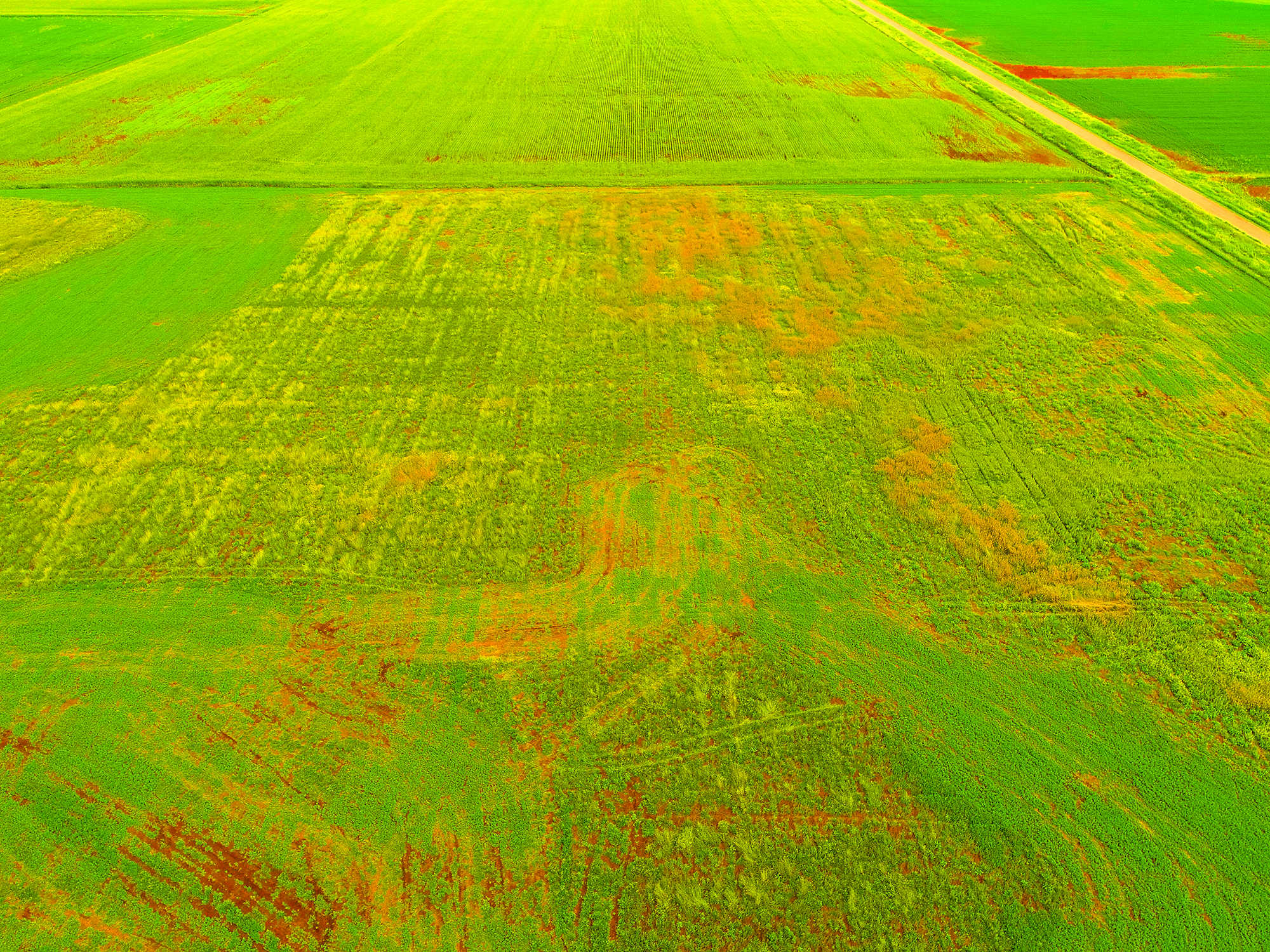 funnel003, DroneWise LLC, aerial data, aerial services, geo referencing, crop health, roof inspection, drone companies sioux falls, drone services sioux falls, aerial photography, aerial photos, aerial services, drone inspection, aerial survey, drone service